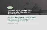 Medicare Benefits Schedule Review Taskforce Report from ...  · Web viewMedicare Benefits Schedule Review Taskforce. Draft Report from the Wound Management Working Group. November