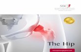 The Hip - Sports Surgery Clinic · 2019-11-22 · in the hip joint. This “snapping” usually occurs either at the front of the hip, where the powerful hip flexor, the iliopsoas