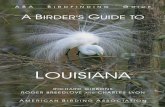 LOUISIANA - LMNGBR · USA). So, for those looking for rarities, Louisiana is productive. For all of this avian wealth, Louisiana is definitely under-appreciated and drastically under-visited