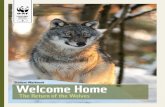 Welcome Home · 2016-04-21 · Wolves in Europe 5 Wolves in profile 6 Strength in numbers 8 Talk to me! 9 The wolf and its relatives 10 Research on wolves 12 Protecting livestock