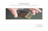 Ferrock Final Paper 4.24.17 JohnBello - IronKastironkast.com/wp-content/uploads/2017/11/USC-Ferrock-Final-Paper-4… · paper, Life Cycle Analysis (LCA) is used from a cradle-to-gate