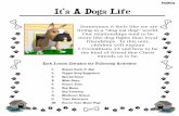 Dogs Life Introduction - Clover Sitesstorage.cloversites.com/waipunachapel/documents/Its... · River’s Edge Curriculum. Neither list includes supplies used in the time stretchers.