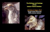 Lesser Prairie Chickens - Land Conservation …The Biology and Ecology of the Lesser Prairie -Chicken Christian A. Hagen, Ph.D. Oregon State University NRCS, Science Advisor •1 of