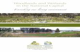 Woodlands and Wetlands in the National Capital · make up a healthy ecosystem. n A place of real beauty, an important site created by the impounded waters of Lake Burley Griffin,