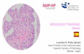 PATHOLOGY TRAINING SPAIN - cpo-media.netcpo-media.net/ECP/2019/Congress-Presentations/1499/-Unlicensed-final... · No FINAL EXAM but EVALUATION is done after each rotation Program