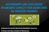 Partnerships and Challenges in Building Capacity for …nashia.org/pdf/sos2017/presentations/wed__tbi_training...PARTNERSHIPS AND CHALLENGES IN BUILDING CAPACITY FOR ELDERS WITH TBI