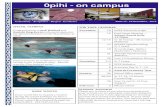 Issue 17 10 November , 2014 - opihicollege.ibcdn.nz · Issue 17 -10 November , 2014 FOR YOUR CALENDAR November 10 NCEA Externals begin 12 Paid Union Meeting — ... January 26 School