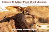 Red Angus Bull Sale Selling Over 100 Yearling Bulls...2 likeitredangus.com 406 - 395 - 6777 3 Welcome friends and customers to the I Like It Like That Red Angus annual bull sale. We