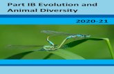 PART IB ANIMAL BIOLOGY · NST Part IB Evolution and Animal Diversity Welcome to IB Evolution and Animal Diversity This course is about the principles of evolution and how they underlie
