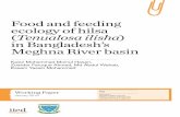 Food and feeding ecology of hilsa Tenualosa ilisha in ...pubs.iied.org/pdfs/16609IIED.pdf · especially in Bangladeshi waters. The ... 4.1 Plankton compositions as food items in the
