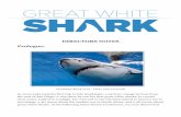GWS Directors Notes - Yes/No Productions · DIRECTORS NOTES Prologue: Guadalupe Shark 2004 - Photo Luke Cresswell In 2004 Luke took his first trip to Isla Guadalupe, a 24 hour voyage
