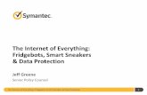 The Internet of Everything: Fridgebots, Smart Sneakers ... · The Internet of Everything: Fridgebots, Smart Sneakers & Data Protection 9 Trying to determine the market size of the