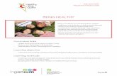 Healthy Kids Quest - Being Healthy - Canada Agriculture ... · This fun activity introduces students to the Healthy Kids Quest program. ... another, making sure that each has something