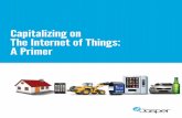 Capitalizing on The Internet of Things: A Primer€¦ · everything from the connectivity and data ... use to communicate with the network and each other: 3G/4G, Wi-Fi, Bluetooth,