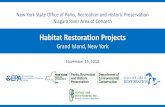 Habitat Restoration Projects - New York State Office of ...Habitat Restoration Projects Grand Island, New York New York State Office of Parks, Recreation and Historic Preservation
