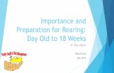 Importance and Preparation for Rearing: Day Old to 18 Weeksserfonteinpoultry.co.za/wp-content/uploads/2019/06/Prepe... · 2019-06-14 · Key points for Day of Placement Flush water