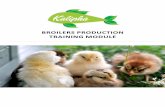 BROILERS PRODUCTION TRAINING MODULE · A key successful broiler rearing starts with having a systematic and efficient management program in place. This program must start well before