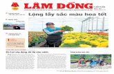 CUỐI TUẦN - baolamdong.vnbaolamdong.vn/upload/others/201801/26994_BLD_cuoi_tuan_ngay_6.1.2017.pdf · Khách du lịch chụp ảnh cùng người dân bên Tam giác mạch nở