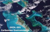 GEOL-201 Carbonate EnvironmentsCarbonate environments •Peritidal carbonate environments •Sub-tidal shelf carbonate environments •Reef environments. There are currently only two