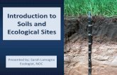 Assessment, Inventory and Monitoring: Introduction to ... · Field Book for Describing and Sampling Soils – plus video on how to use it Factors of Soil Formation –classic book