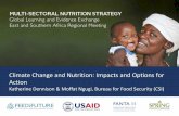 Climate Change and Nutrition: Impacts and Options for Action · Climate: average over a certain timespan and space e.g. Time –pre-industrial, 1980s-present Space –global climate,