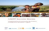 UNIPP Success Stories - International Labour Organization · This collection of UNIPP Success Stories would have not materialized without the full support and enthusiastic response
