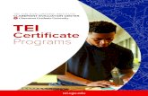 Certiﬁcate Programs - Claremont Graduate UniversityThe Evaluators Instititute │ Certificate Programs 1 . TEI Certificate Programs . The Evaluators’ Institute (TEI) offers four