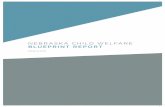 nebraska child welfare blueprint report · blueprint report march 2017. Acknowledgements The development of this Blueprint was funded by the Sherwood Foundation. It was ... based