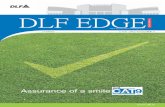 DLF EDGE - CAT9 Chennai...DLF EDGE | 03 DLF's commitment to provide outstanding globally benchmarked infrastructure has a new edge – CAT9. With over approximately 40 people in Gurgaon
