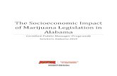 The Socioeconomic Impact of Marijuana Legislation in Alabamaoutreach.aum.edu/sites/default/files/The Socioeconomic Impact of... · The Socioeconomic Impact of Marijuana Legislation