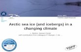 Arctic sea ice (and icebergs) in a changing climate · Arctic sea ice (and icebergs) in a changing climate L. Bertino, Nansen Center with contributions from colleagues P. Rampal,