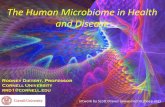 The Human Microbiome in Health and Disease · 2019-07-30 · artwork by Scott Draves () Rodney Dietert, Professor Cornell University rrd1@cornell.edu The Human Microbiome in Health