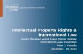 International Law & Intellectual Property Rights 2015-08-25آ  Intellectual Property Rights International