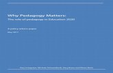 Why Pedagogy Matters - Haiti Now€¦ · The ‘Framework for Action Education 2030: Towards inclusive and equitable quality education and lifelong learning for all’ (Education