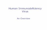 Human Immunodeficiency Virus 2020-03-18آ  Human Immunodeficiency Virus Acquired Immunodeficiency syndrome