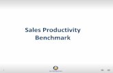Sales Productivity Benchmark · Sales Productivity Benchmark . 2 Generates improvement recommendations Uses diagnostic techniques and empirical data to improve accuracy of assessment