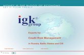 Credit Risk Management - igkservice.ru · Specialist for credit risk management. 1991 . First IGK company was registered in Germany 1992 First companies of IGK Group were registered