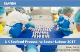 UK Seafood Processing Sector Labour 2017 Scottish ... UK Seafood Processing Sector Labour 2017 Hazel