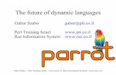 Gabor Szabo gabor@pti.co.il Perl Training Israel ...Gabor Szabo – Perl Training Israel – - Raz Information Systems - So what is the problem ? Many languages Lots of overlapping