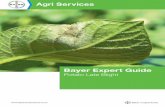 Potato Late Blight - Bayer Crop Science UK...potato production. This chapter provides the essential biological understanding of the pathogen that control of late blight is based on.