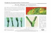 publication 450-708 Early Blight of Tomatoes · Early Blight of Tomatoes Mary Ann Hansen, Extension Plant Pathologist, Department of Plant Pathology, Physiology and Weed Science,