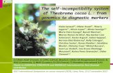 The self-incompatibility system of Theobroma cacao L ...The self-incompatibility system of Theobroma cacao L.: from genomics to diagnostic markers. The several steps of cocoa self