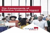 The Components of Effective Collective Impact€¦ · be based on a racial equity and inclusion lens to make sure no one is left behind. Applying a racial equity lens is not a separate