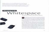 Whitespace - is.muni.cz · the whitespace and how to meet them. Managing in the Whitespace Although navigating in the whitespace requires a new compass, the rewards from successful
