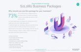 Why should you use this package for your business? 73% · PowerPoint Template-Template MS PPT, 5x Slides, 1x Stock Image, Matching ... SEO Set Up, 1 x Month Report & Insights, Local