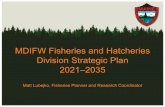 MDIFW Fisheries and Hatcheries Division Strategic PlanBroader management plans–statewide applicability OLD (1996–2001) Goal: Maintain current abundance and fishing opportunity