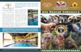 Charity No. 1126939 APE RESCUE CHRONICLE · Charity No. 1126939 Issue: 66 SPRING 2017 Springfield Country Hotel Leisure Club and Spa, Grange Road, Wareham, Dorset BH20 5AL enquiries@thespringfield.co.uk