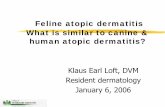 Feline atopic dermatitis What is similar to canine & human ...9Feline Atopic dermatitis 91st case of feline atopic dermatitis 1982 (Reedy et al, JAAHA, 1982) 9Defined in 1989 by Halliwell