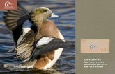 onserving AgriCulturAl r esourCes and the e nvironment CARE-single pages.pdf · of habitat for waterfowl and other wetland-dependent wildlife throughout North America. Ducks Unlimited