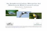 An Implementation Blueprint for Minnesota Bird Conservation · American Bird Conservation Initiative (NABCI). These regions were designed to guide bird planning efforts for all North